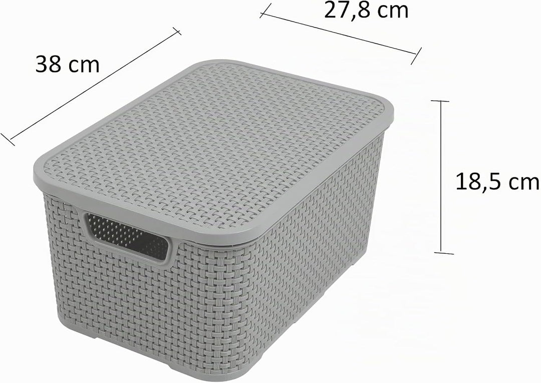 BranQ - Home essential Deckel Korb in Rattan Design 2er Set Grösse L 19 l, BPA-frei Kunststoff PP,He