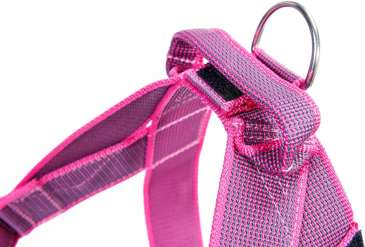 Julius-K9, Color & Gray, Beltgeschirr M / 0 pink-grau, M / 0 pink-grau