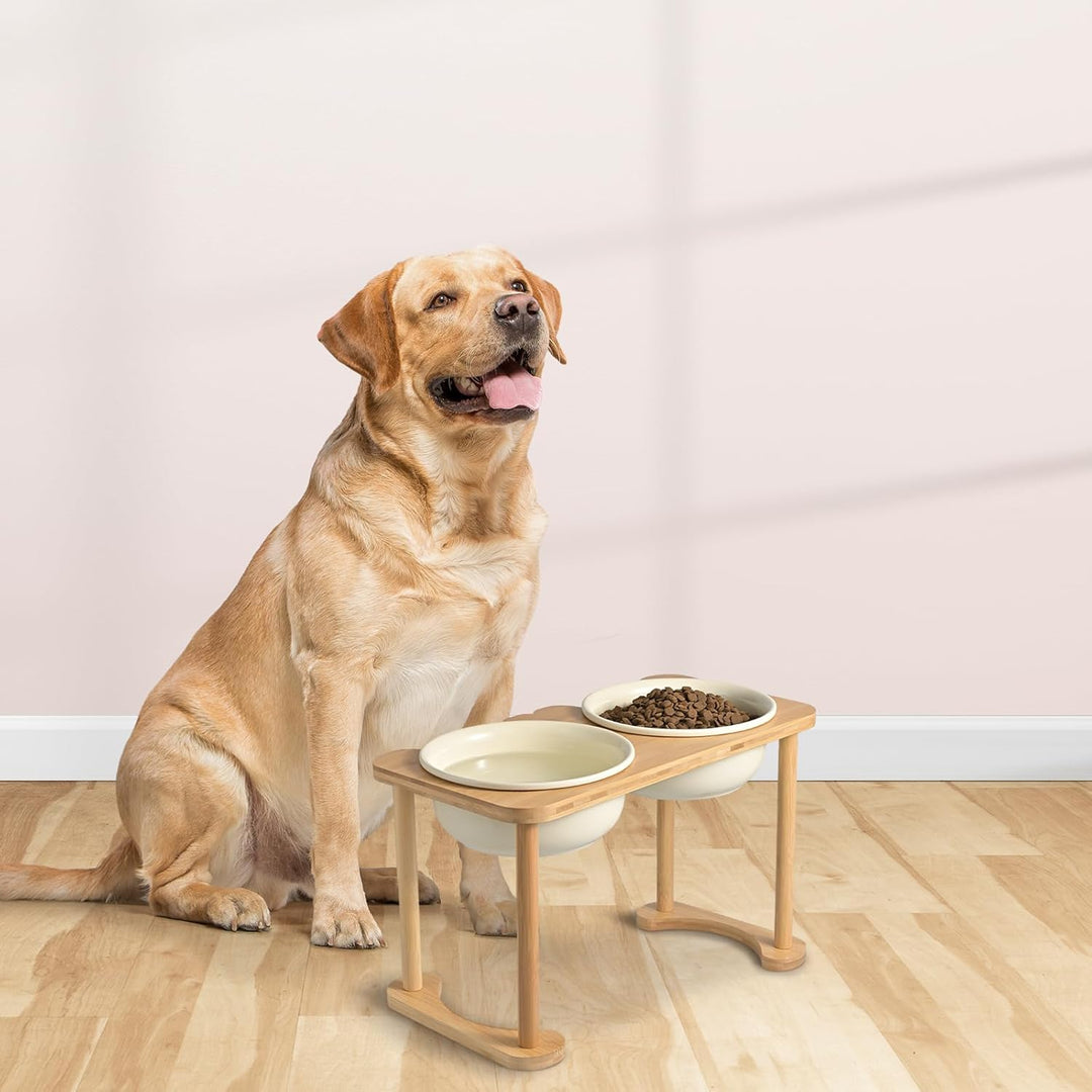 SPUNKYJUNKY Futterstation Hund Erhöht Hundenapf Keramik Erhöhter Futternapf für Hunde und Katzen (16