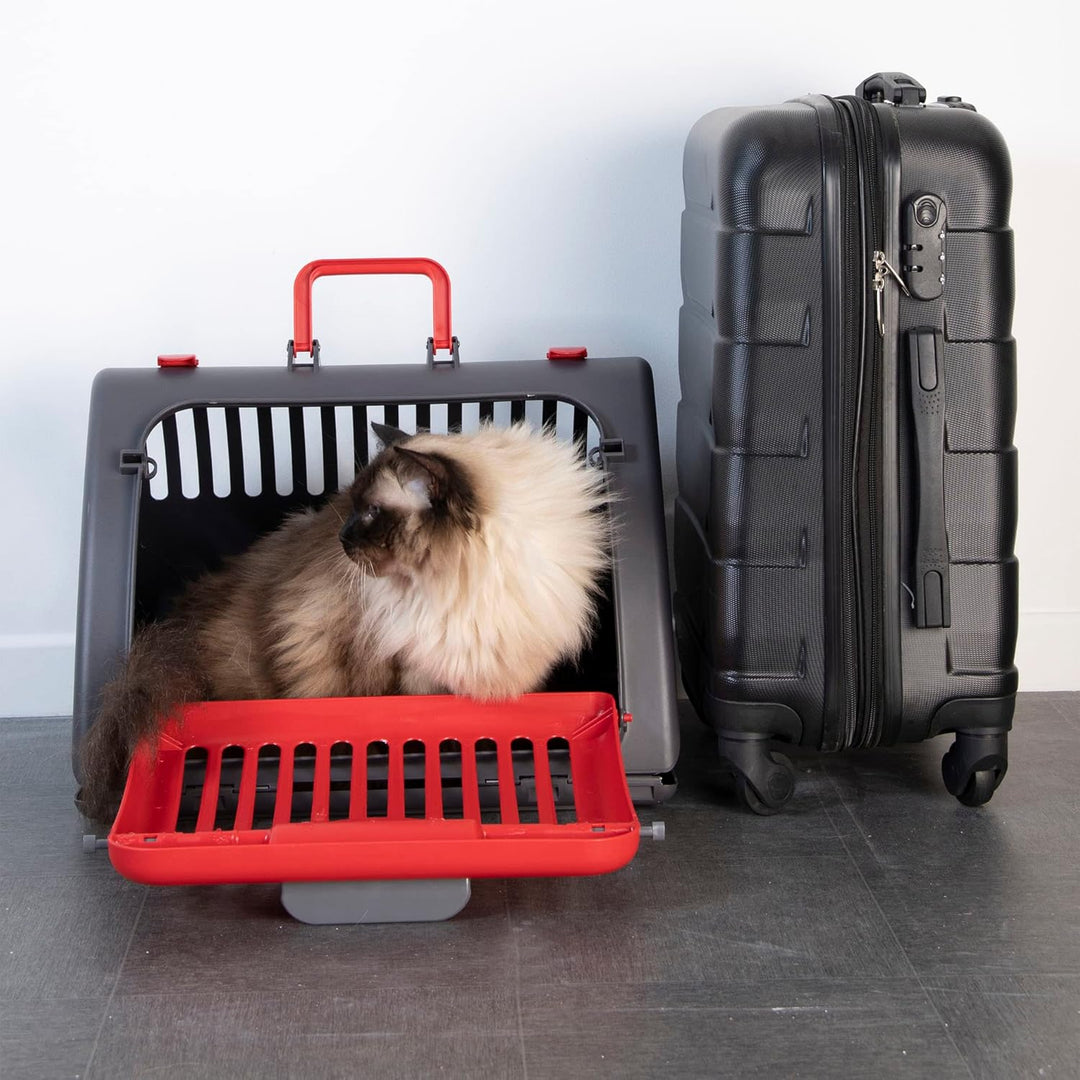 Transportbox, faltbar, Kunststoff, 46 x 35 x 33 cm, Anthrazit Rot