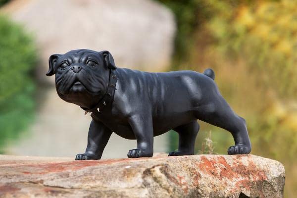 GILDE Deko Figur Skulptur Hund - Bulldogge Bobby - mit Nietenhalsbank - schwarz ca. 69 x 38,5 x 30 c