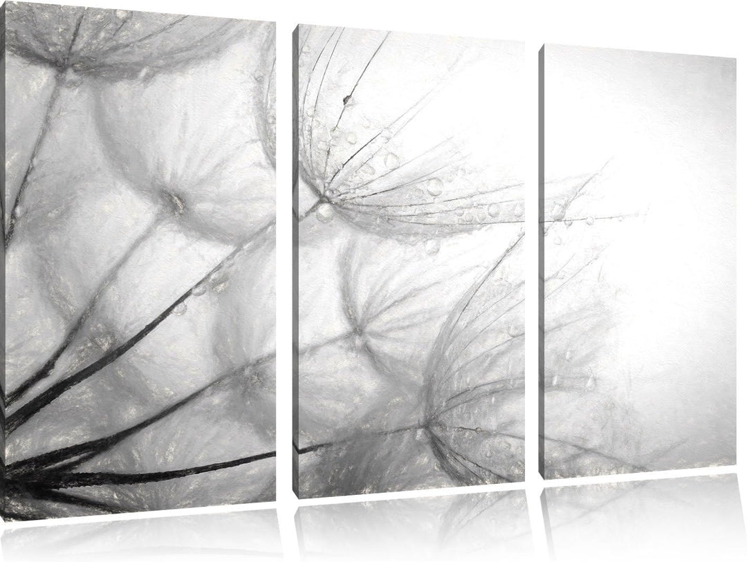 Pixxprint Tropfen bedeckte Pusteblumen als Leinwandbild/Grösse: 3 Teilig (120x80) cm/Wandbild/Kunstd