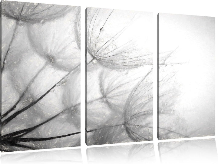 Pixxprint Tropfen bedeckte Pusteblumen als Leinwandbild/Grösse: 3 Teilig (120x80) cm/Wandbild/Kunstd