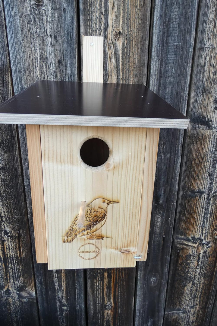 Premium Natur Lärchenholz Nistkasten unbehandelt nach Nabu, massives Vogelhaus Nisthilfe wetterfest