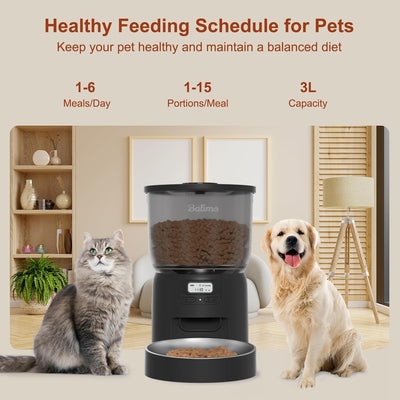 Balimo Dick 3L futterautomat Katze, Automatisches Katzen- Und Hundefutter Mit Getreideschale Aus Ede