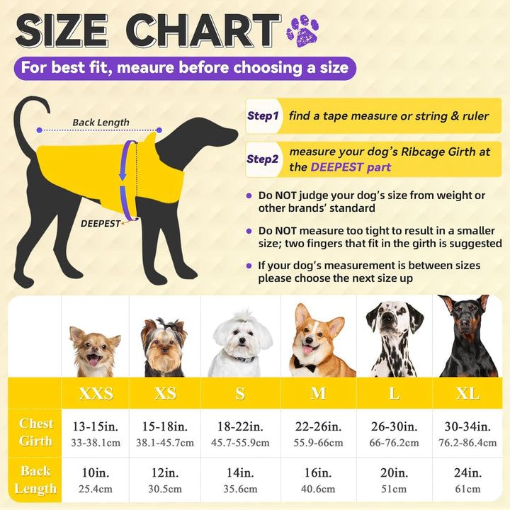 VIVAGLORY Hunderegenmantel für grosse Hunde, leicht an- und ausziehbare Regenbekleidung, reflektiere