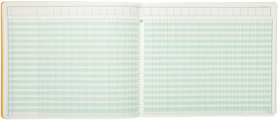 EXACOMPTA Gesch‰ftsbuch mit Kopfleiste, 30 Spalten VE = 1
