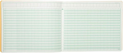 EXACOMPTA Gesch‰ftsbuch mit Kopfleiste, 30 Spalten VE = 1