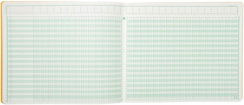 EXACOMPTA Gesch‰ftsbuch mit Kopfleiste, 30 Spalten VE = 1