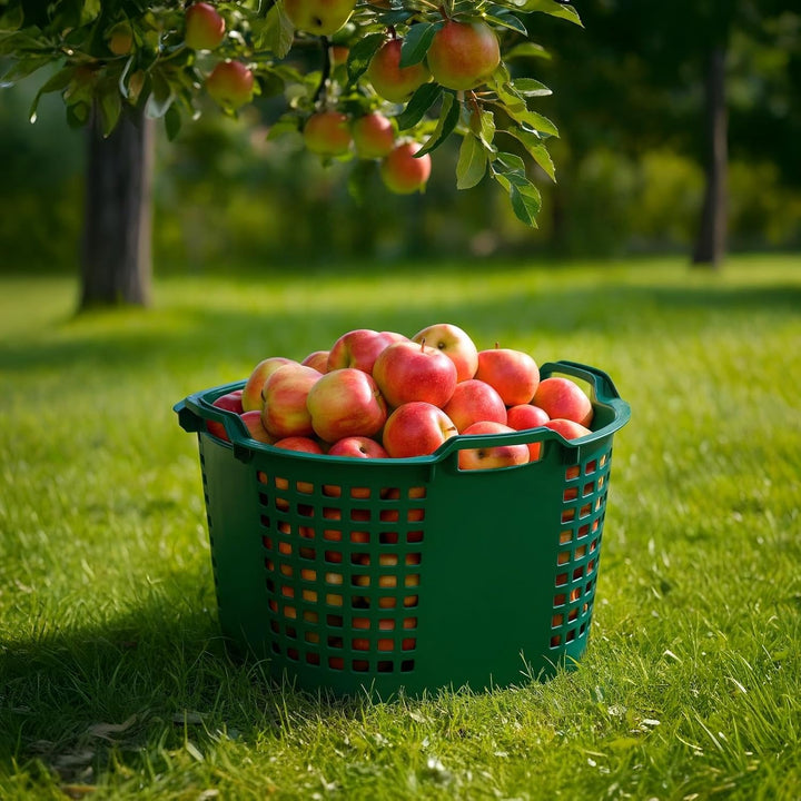 BURI 10x Erntekorb Gartenkorb lebensmittelecht - 50L Kartoffelkorb Obstkorb Laubkorb grün, drehstape
