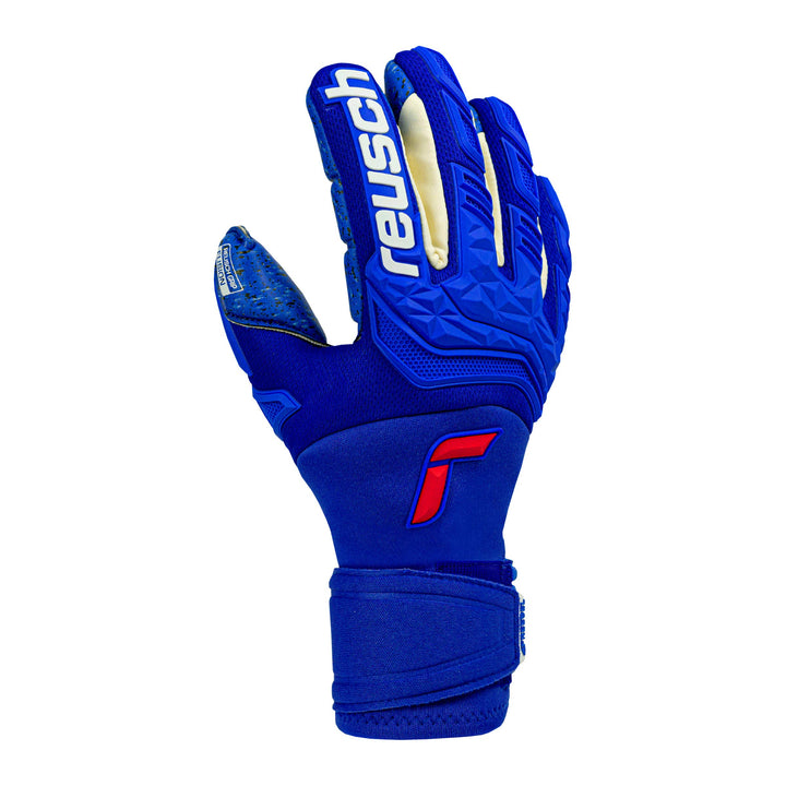 Reusch Unisex – Erwachsene Attrakt Freegel Fusion Goaliator Torwarthandschuh 8 deep blue / deep blue