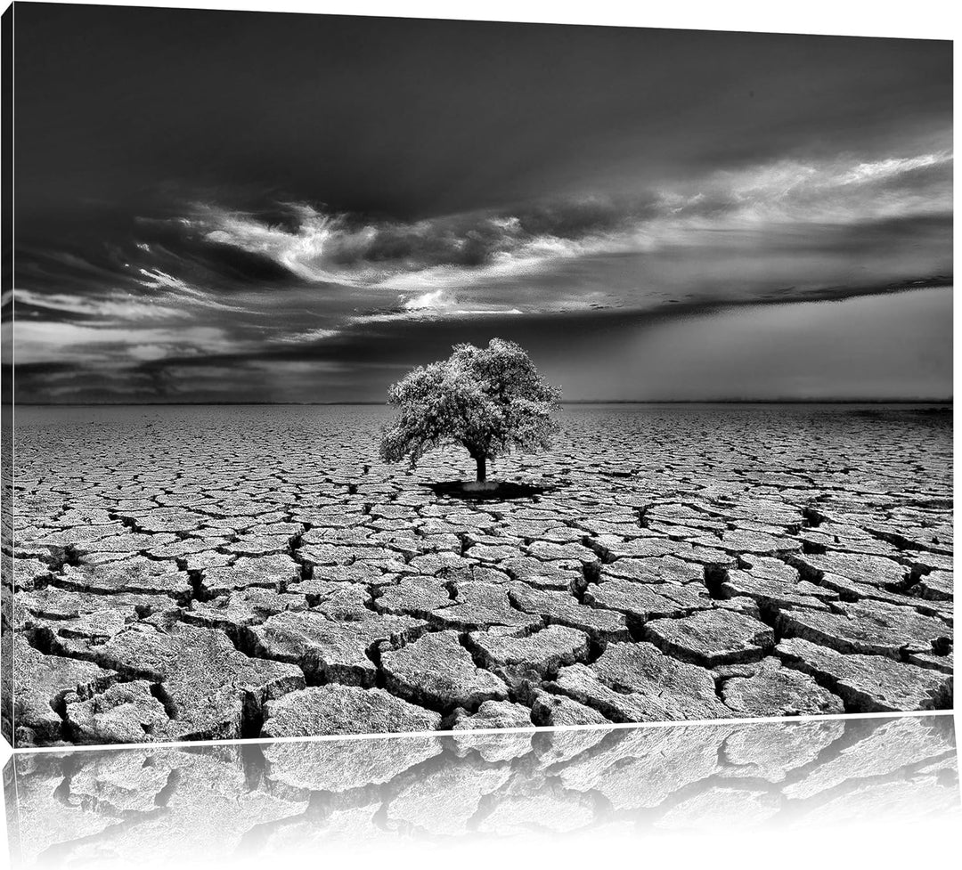 Pixxprint Monocrome, der Letzte Baum im ausgetrockneten Boden, Format: 100x70 auf Leinwand, XXL ries