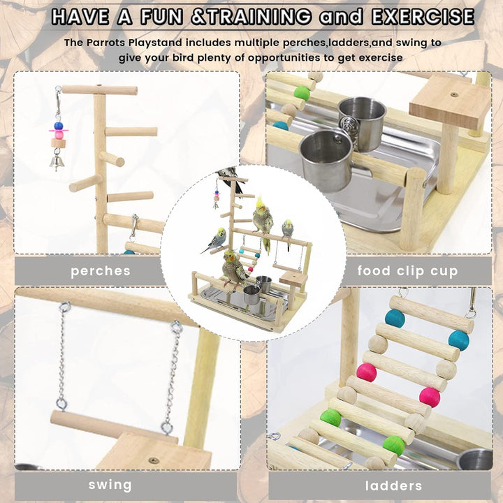 Wellensittich Spielplatz Vogel-Spielplatz mit Feeder-Cup Spielzeug Leiter Erklimmen Schaukel und Tab