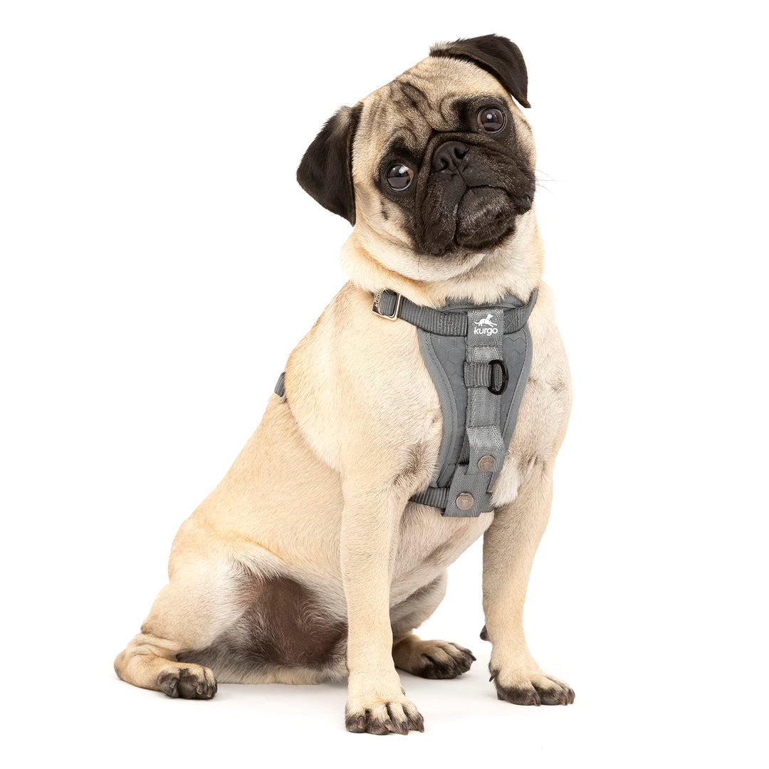 Kurgo Tru-Fit Hundegeschirr, Crash-Test-erprobtes Auto-Sicherheitsgurt, Für Hunde von 2 bis 5 kg, Gr