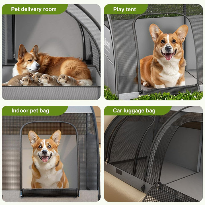 Flatbare Autositz für 2 Katzen oder kleine Hunde, Wasserdichter Hundeautositz für Rück, Waschbares K