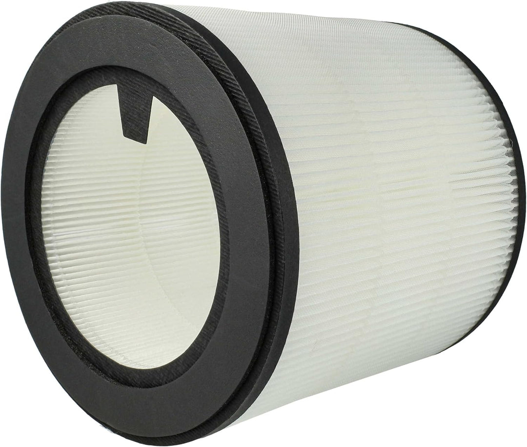 vhbw 2x HEPA Filter Ersatz für Philips FY0194/30 für Luftreiniger | Ersatz-Filter