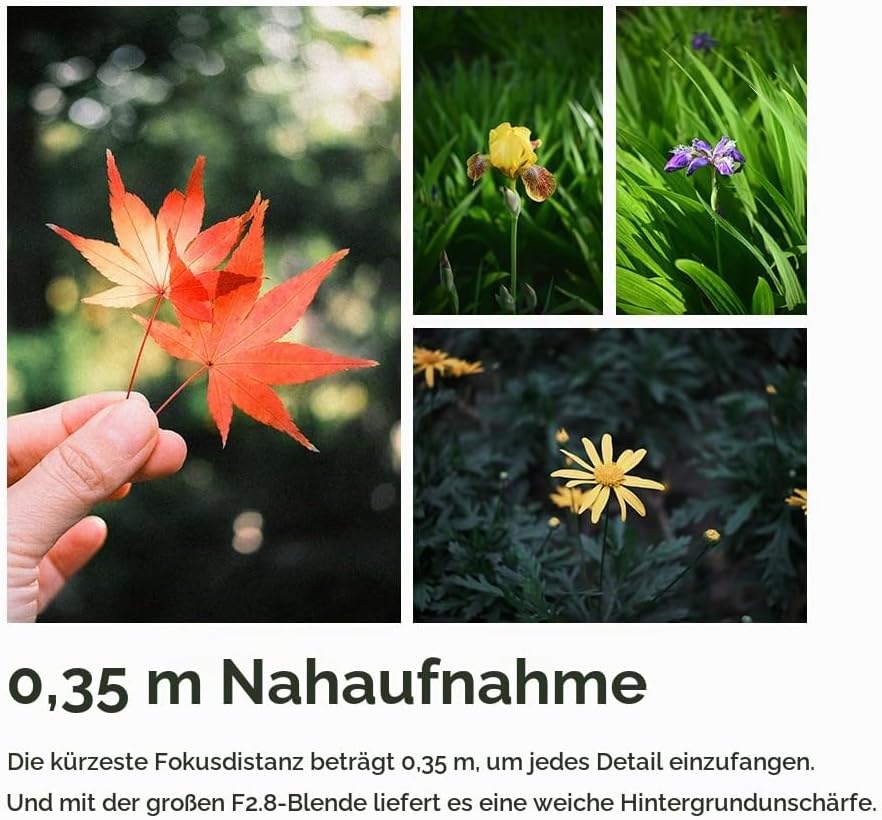 TTARTISAN AF 27 mm F2.8 Objektiv APS-C Autofokus Objektive für Fuji X Mount (X, Schwarz) X-mount Sch
