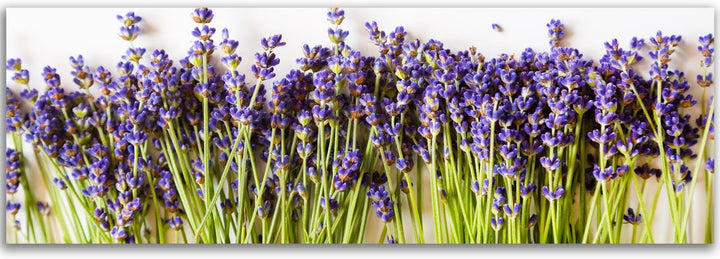 Feeby. Leinwandbild, Bilder, Wand Bild, Wandbilder, Kunstdruck 150x50 cm, LAVENDEL, NATUR, VIOLETT,