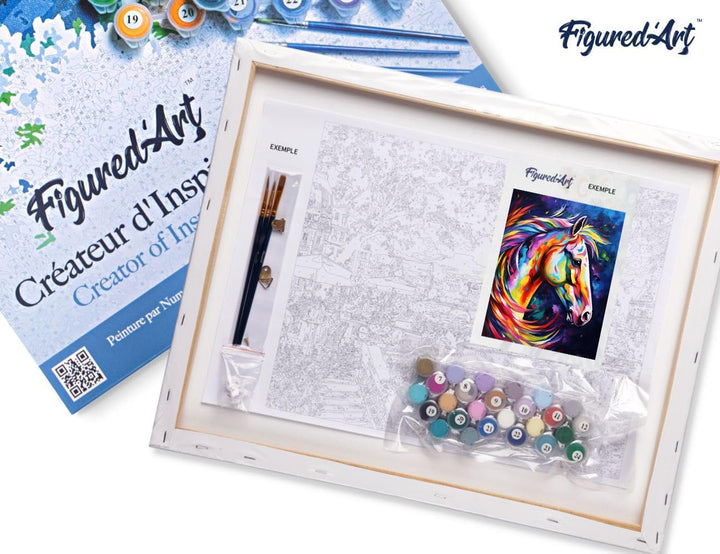Figured'Art Malen Nach Zahlen Erwachsene Mit Rahmen Pferd Farbenfroh Abstrakt - Paint by Numbers Bas