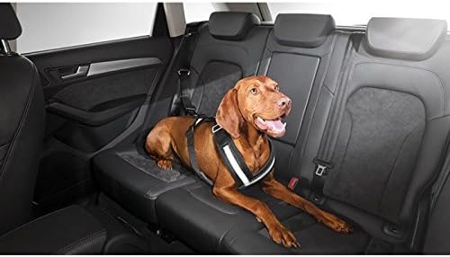 Audi 8X0019409B Schutzgurt für Hunde Grösse L
