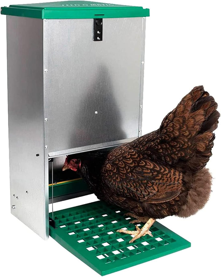 FINCA CASAREJO Automatischer Futterautomat für Hühner - Futterautomat gegen Schädlinge - Automatisch