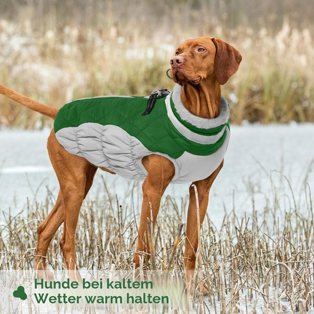 Hundejacke Fleece Winter, Winter Hundemantel wasserdichte Winterweste Jacken Hundemantel Hundepullov