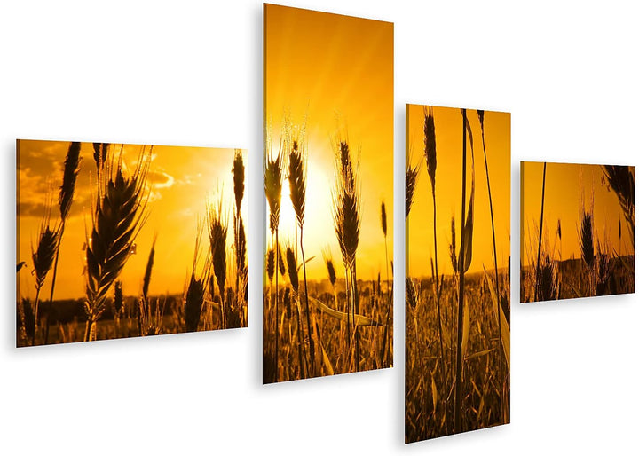 islandburner Bild auf Leinwand sonne landwirtschaft hintergrund brot getreide farbe mais dämmerung o