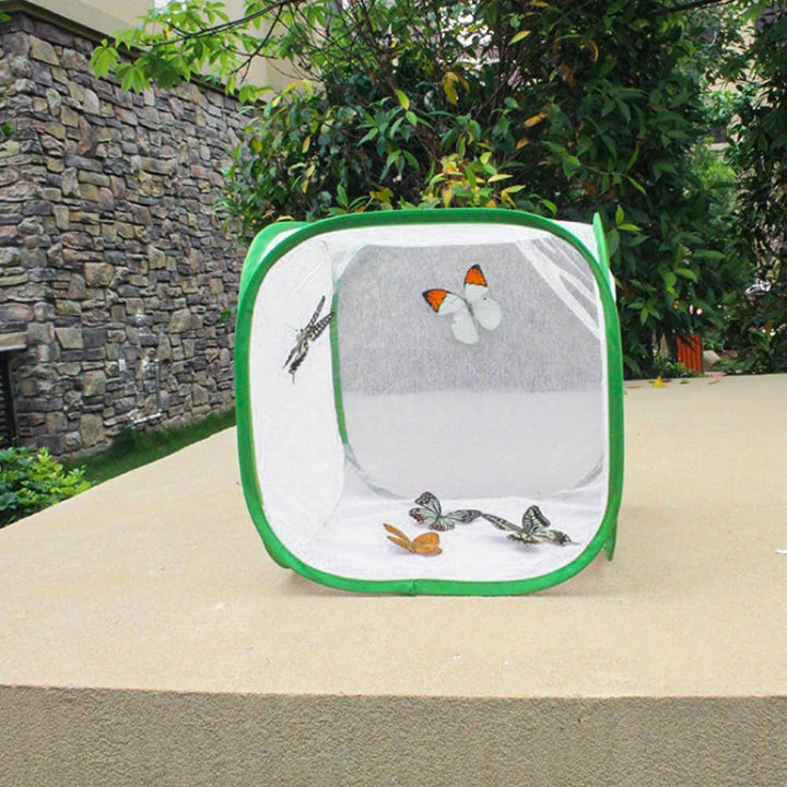 Netzkäfig für Insekten und Schmetterlinge im Garten, transparenter Kleiner Sitzkäfig für Schmetterli