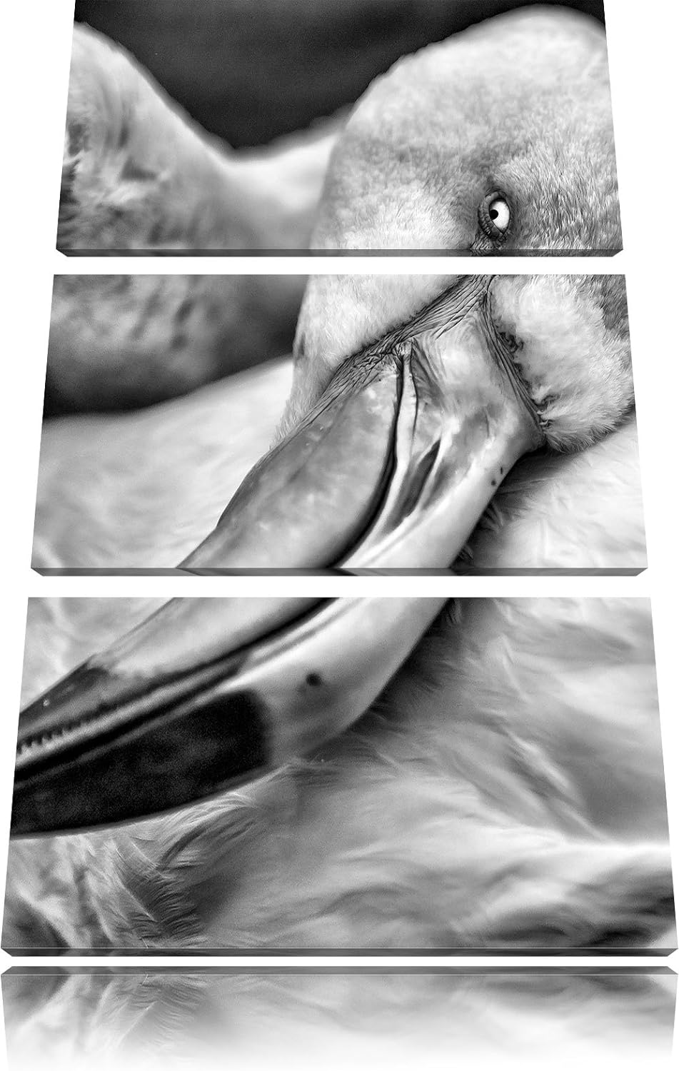 Pixxprint schöner Flamingo als Leinwandbild/Grösse: 3 Teilig (120x80) cm/Wandbild/Kunstdruck/fertig