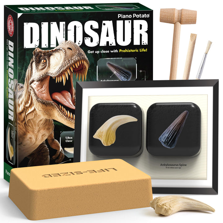 Dinosaurier Ausgrabungsset für Kinder - Grabe T.Rex Kralle & Ankylosaurus Stachel aus, Erstelle Dein