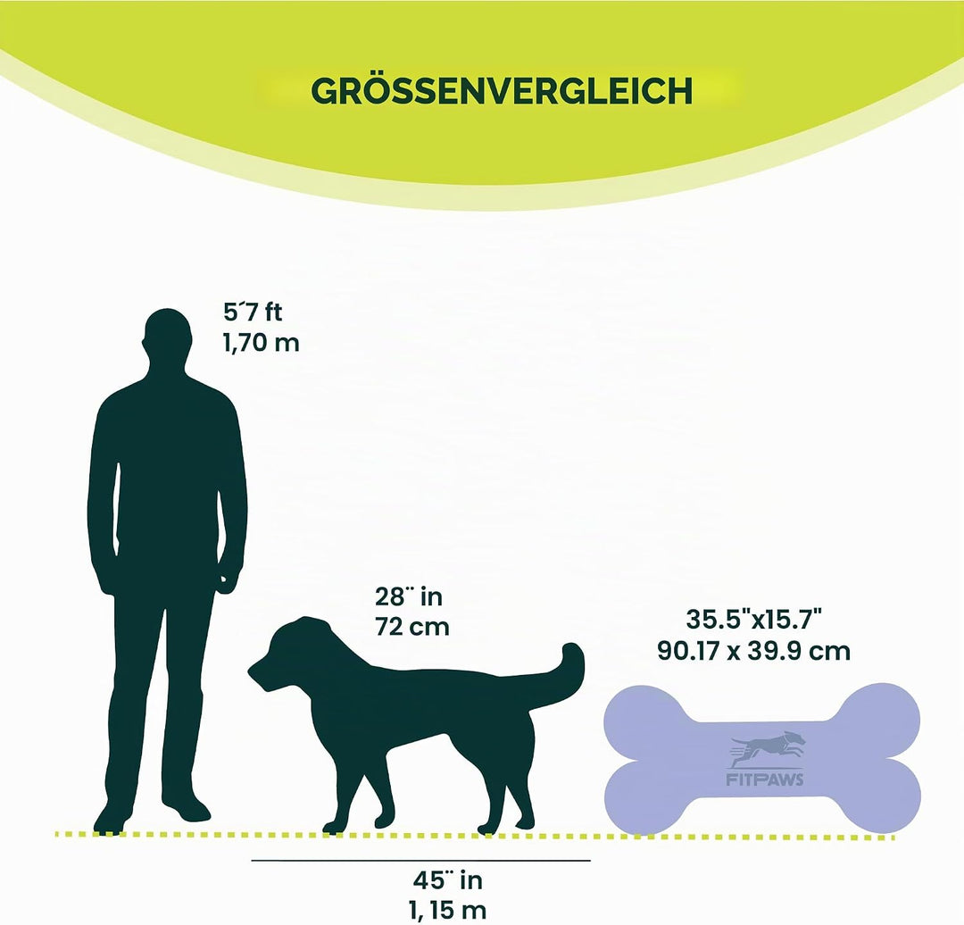 FitPAWS Giant Fitbone (blau)