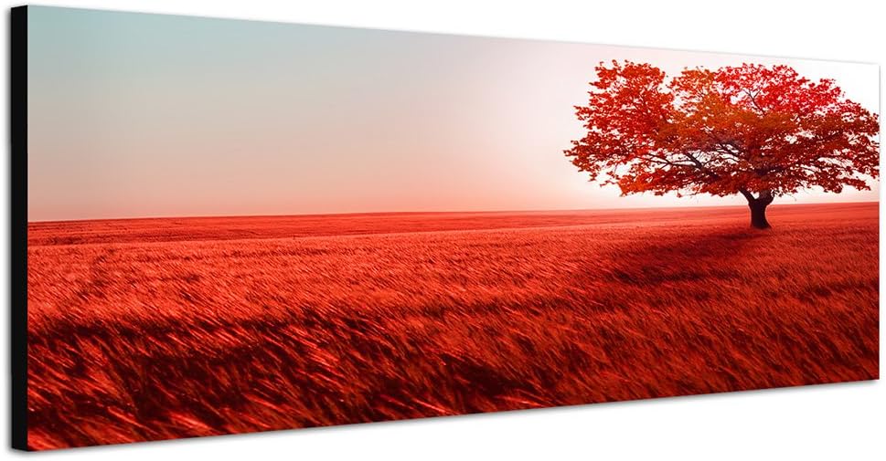 Paul Sinus Art Panoramabild auf Leinwand und Keilrahmen 150x50cm Landschaft Wiese Baum rot Licht