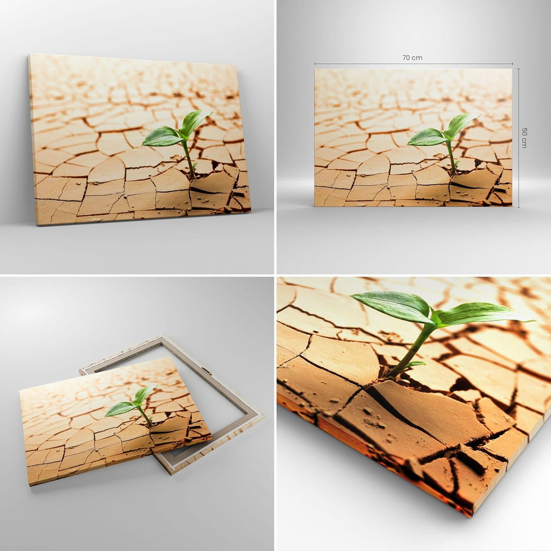 Bilder auf Leinwand Wüste Erde Umwelt Leinwandbild mit Rahmen 70x50cm Wandbilder Dekoration Wohnzimm