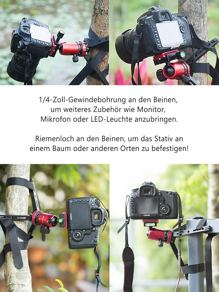 Moman Tischstativ mit Kugelkopf, Mini Kamera Stativ 360° Stativkopf, 1/4 3/8 Schraubbefestigung, CNC