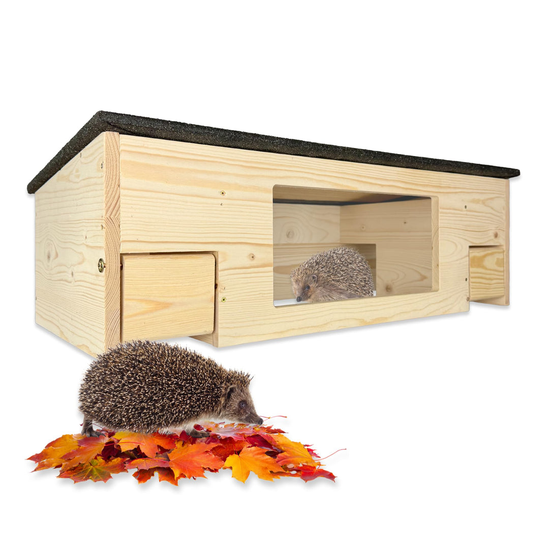 GARTENETAGE Igelfutterhaus XXL mit Panorama-Beobachtungsfenster, Rattenklappen & Fluchtweg – wetterf
