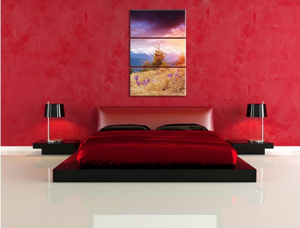 Pixxprint Krokusse auf Hochalmwiese in Alpen 3-Teiler Leinwandbild 120x80 Bild auf Leinwand