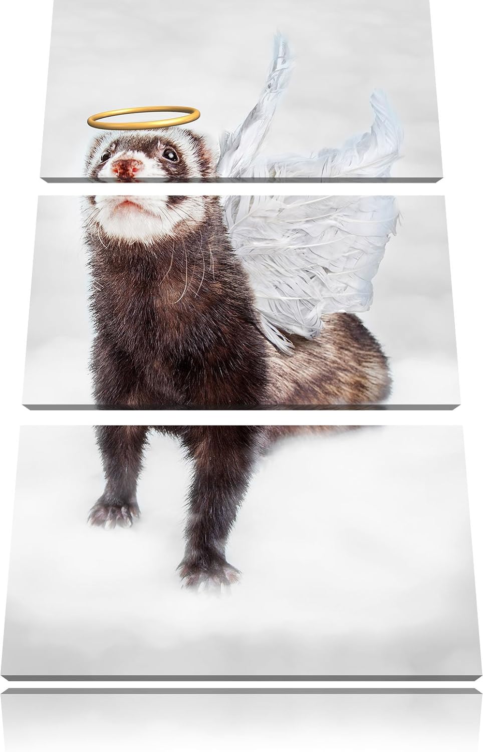 Pixxprint Süsses Frettchen im Engelsköstum B&W Detail 3-Teiler Leinwandbild 120x80 Bild auf Leinwand