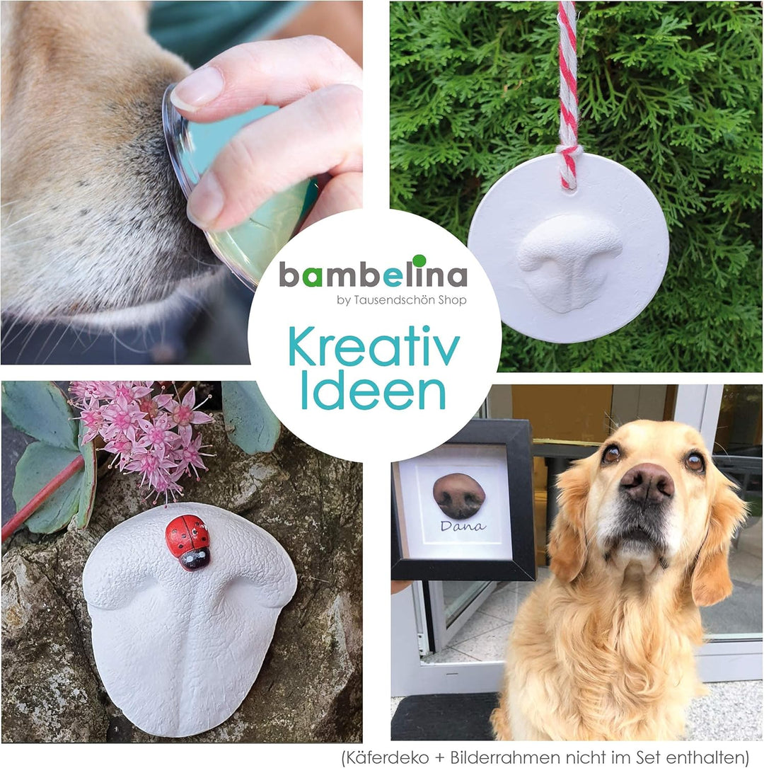 bambelina® Gipsabdruck Set Hundepfote und Hundenase. Verewigen Sie die Pfote + Schnauze vom Hund in