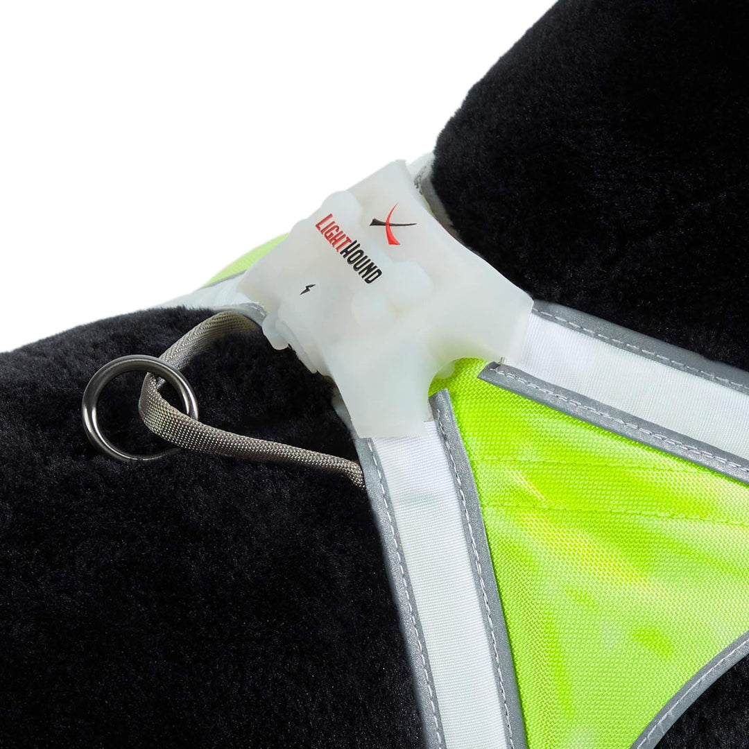 noxgear LightHound – Revolutionäres beleuchtetes und reflektierendes Geschirr für Hunde, inklusive m