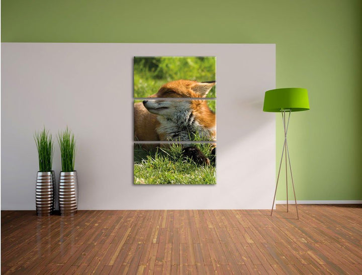 Pixxprint Fuchs im Gras 3-Teiler Leinwandbild 120x80 Bild auf Leinwand