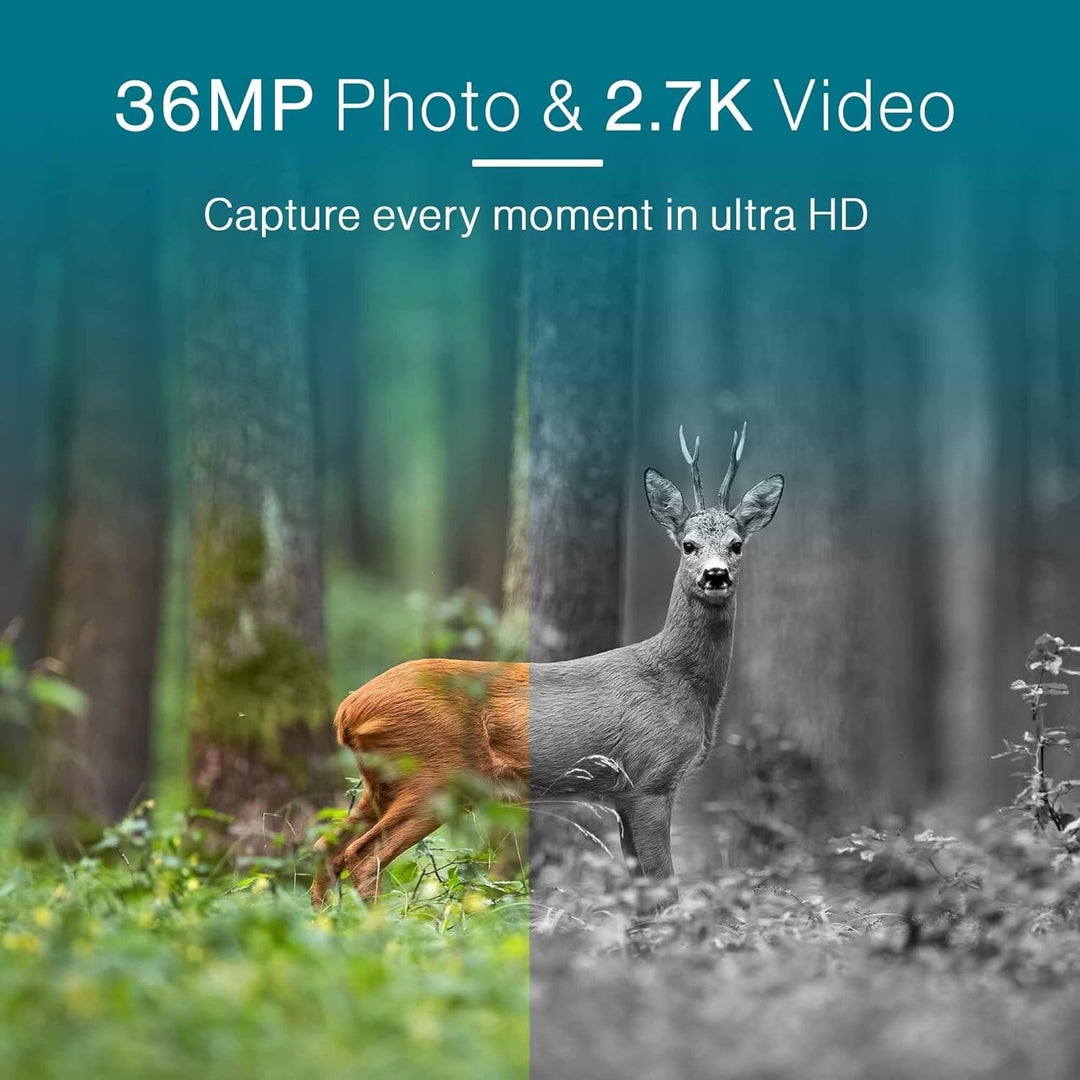 Wildkamera, 32GB SIM-Karte, HD, 18m nachtfunktion