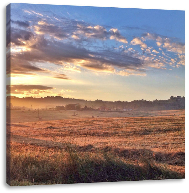 Getreidefeld im Abendlicht, Format: 70x70 auf Leinwand, XXL riesige Bilder fertig gerahmt mit Keilra