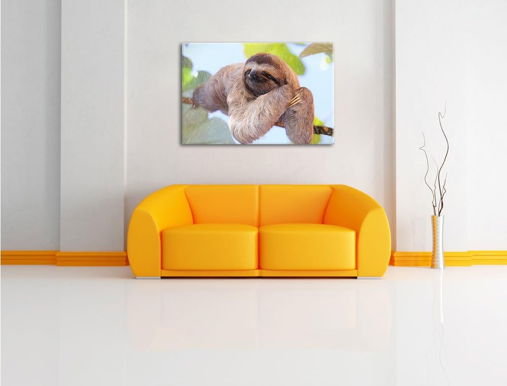 Pixxprint schönes Faultier hängt von AST / 100x70cm Leinwandbild bespannt auf Holzrahmen/Wandbild Ku