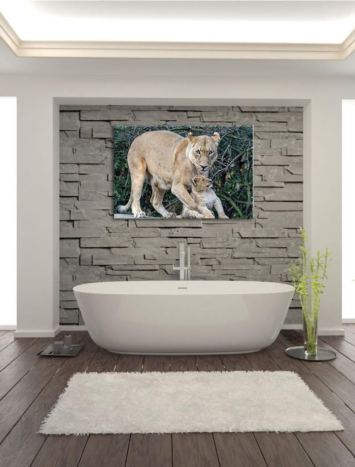 Pixxprint Löwin spielt mit Jungtier auf Leinwand, XXL riesige Bilder fertig gerahmt mit Keilrahmen,