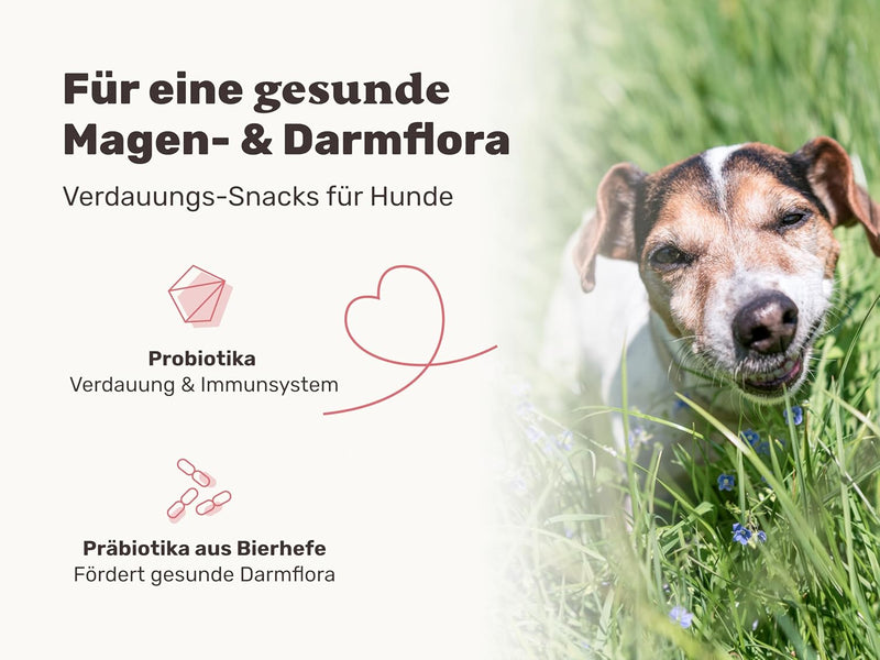mammaly Lucky Belly für Hunde Verdauungssnacks mit Probiotika Hund, Heilmoor, Hund Darmflora aufbaue