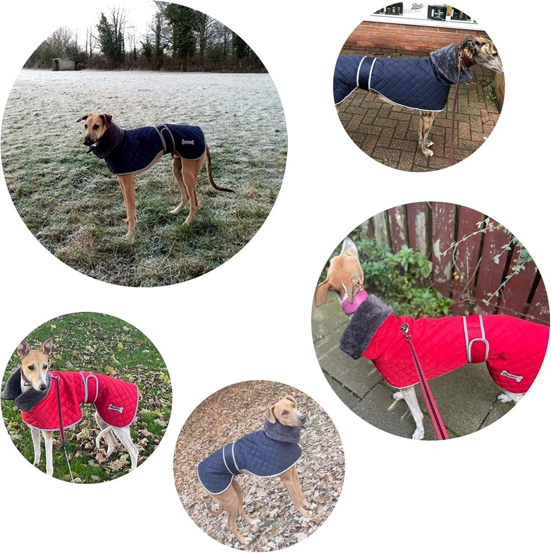 Geyecete Winter Hundemantel fur Windhunde,Warm Hundejacke mit Fleecefutter,wasserdicht,Winddicht,Ver