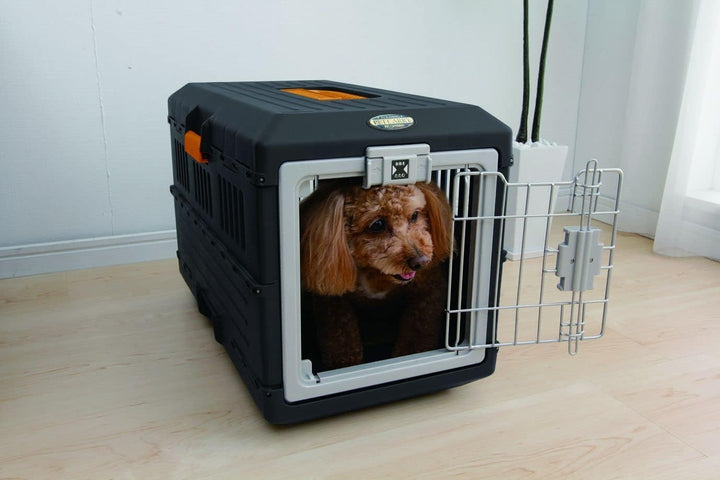 Iris Ohyama, Faltbare Transportbox / Transportkiste, 2 Öffnungen (Vorder- & Rückseite), Tragegriff,
