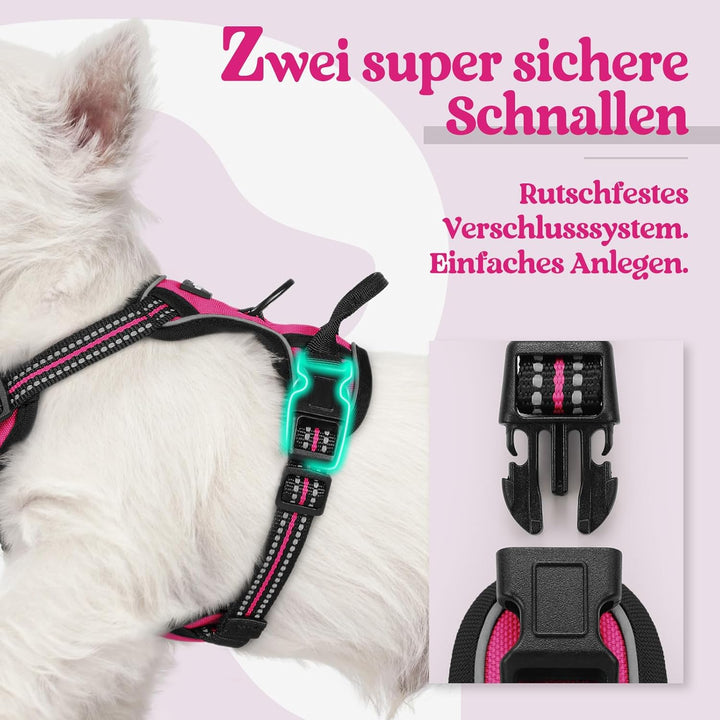 rabbitgoo Hundegeschirr Kleine Hunde, Anti Zug Geschirr mit Kontrolle, No Pull Verstellbar Hundegesc