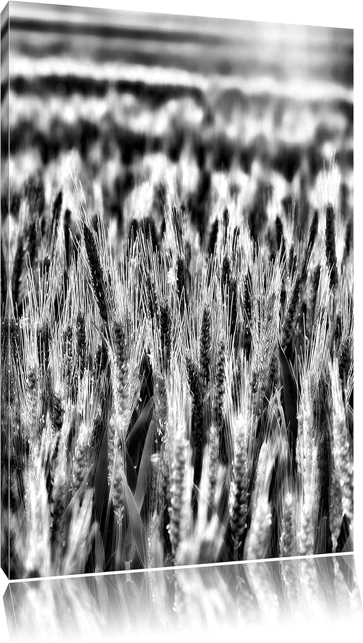 Monocrome, Getreidefeld, Format: 100x70 auf Leinwand, XXL riesige Bilder fertig gerahmt mit Keilrahm