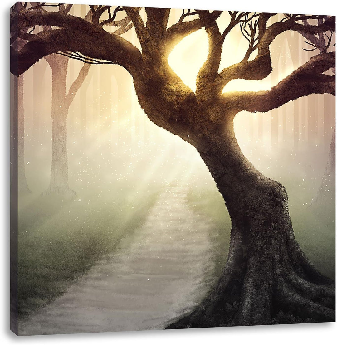 Pixxprint Riesiger Baum am Waldweg Schwarz/Weiss, Format: 70x70 auf Leinwand, 70x70